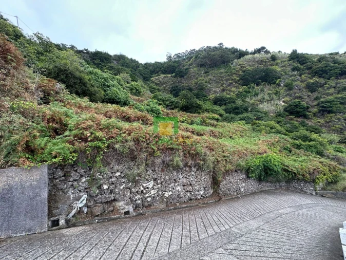 Terreno para Venda em Porto Moniz Foto 4