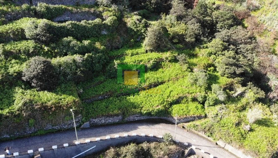 Terreno para Venda em Porto Moniz Foto 8
