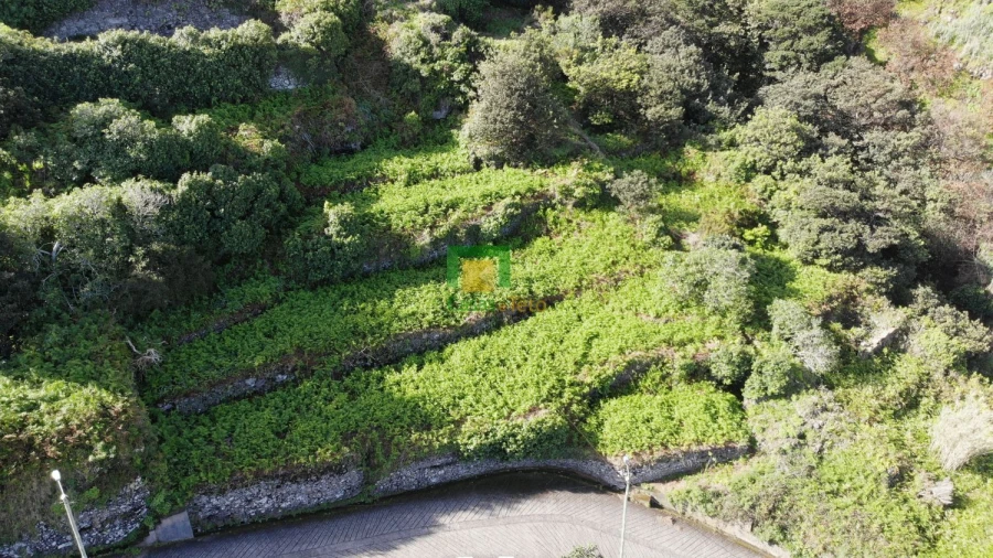 Terreno para Venda em Porto Moniz Foto 9