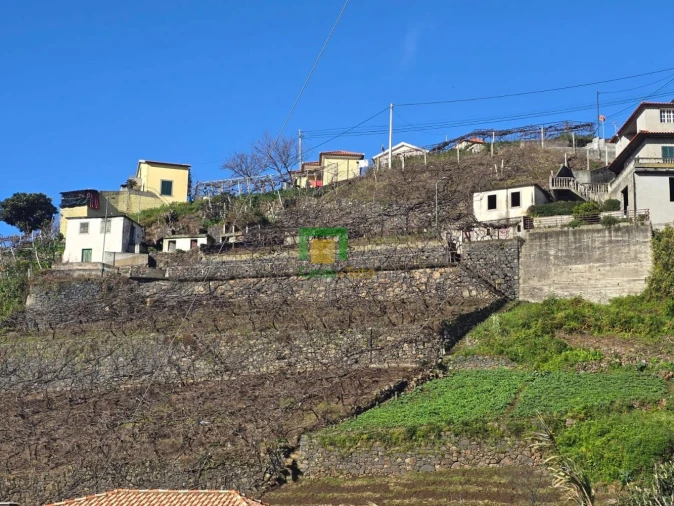 Terreno para Venda em Estreito de Camara de Lobos Foto 13