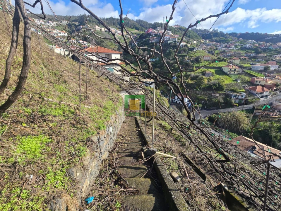 Terreno para Venda em Estreito de Camara de Lobos Foto 3