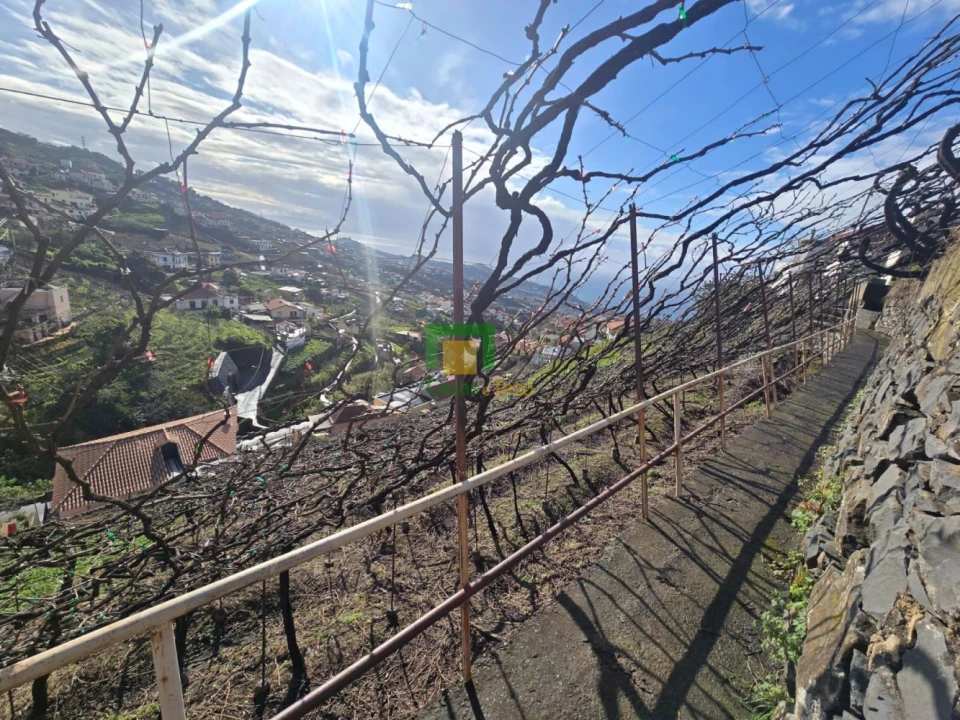 Terreno para Venda em Estreito de Camara de Lobos Foto 5