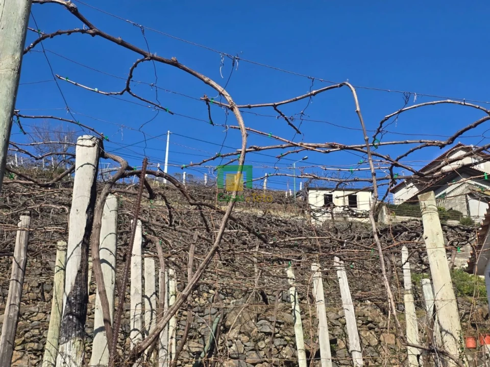 Terreno para Venda em Estreito de Camara de Lobos Foto 15