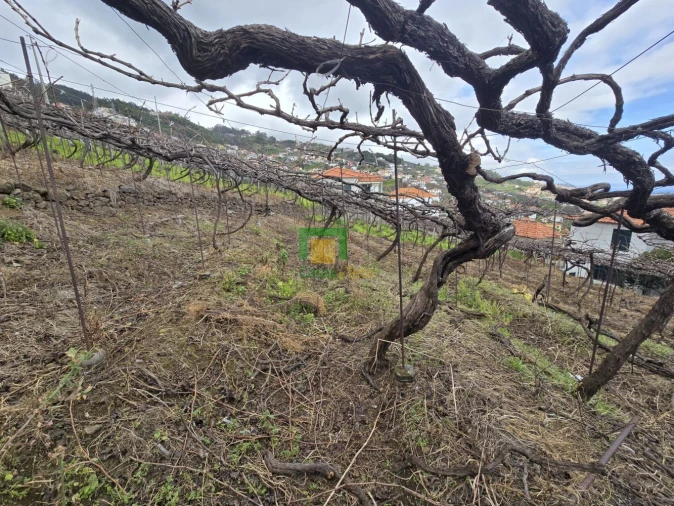 Moradia T4 para Venda em Estreito de Camara de Lobos Foto 22