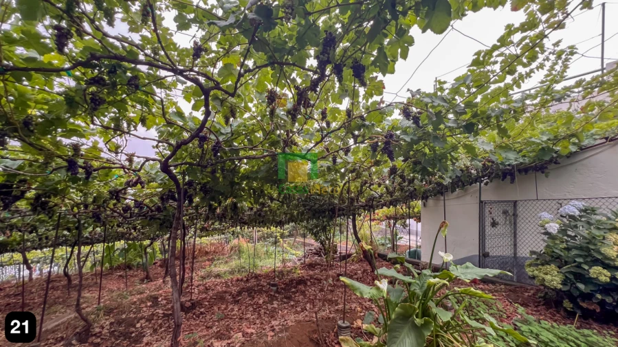 Moradia T4 para Venda em Estreito de Camara de Lobos Foto 28