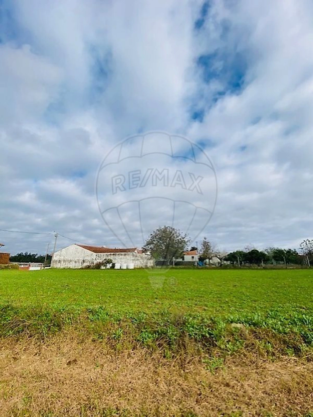 Terreno para Venda em Loureiro Foto 2