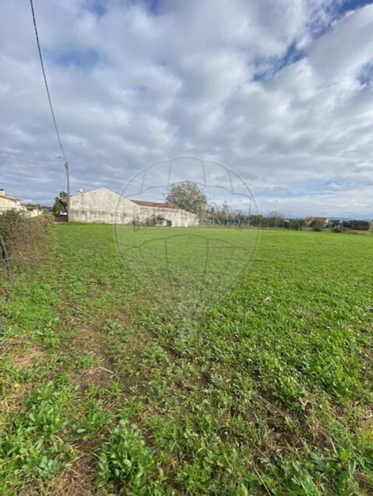 Terreno para Venda em Loureiro Foto 8