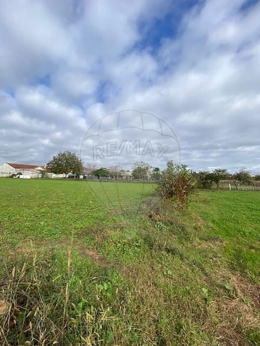 Terreno para Venda em Loureiro Foto 7