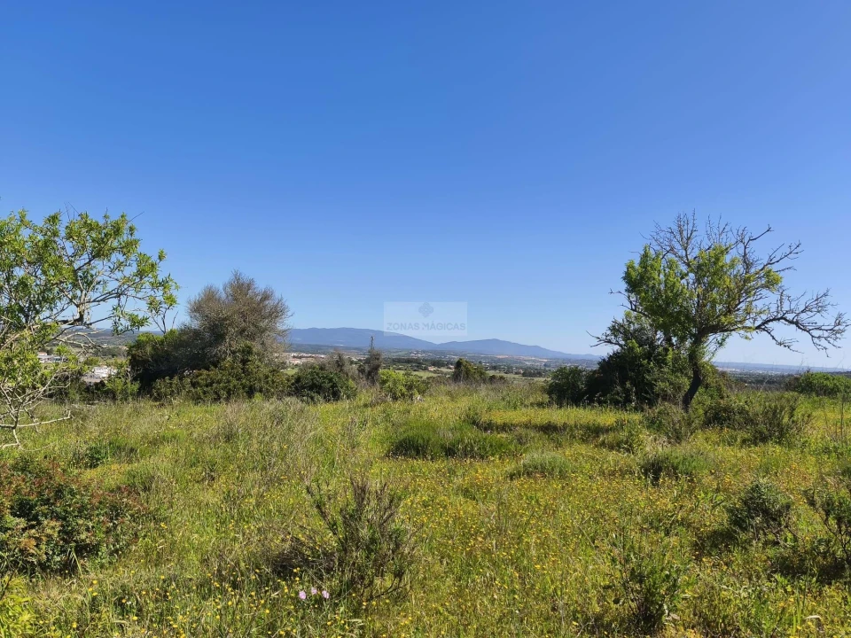 Terreno para Venda em Lagos (São Sebastião e Santa Maria) Foto 9