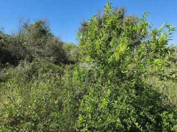 Terreno para Venda em Lagos (São Sebastião e Santa Maria)