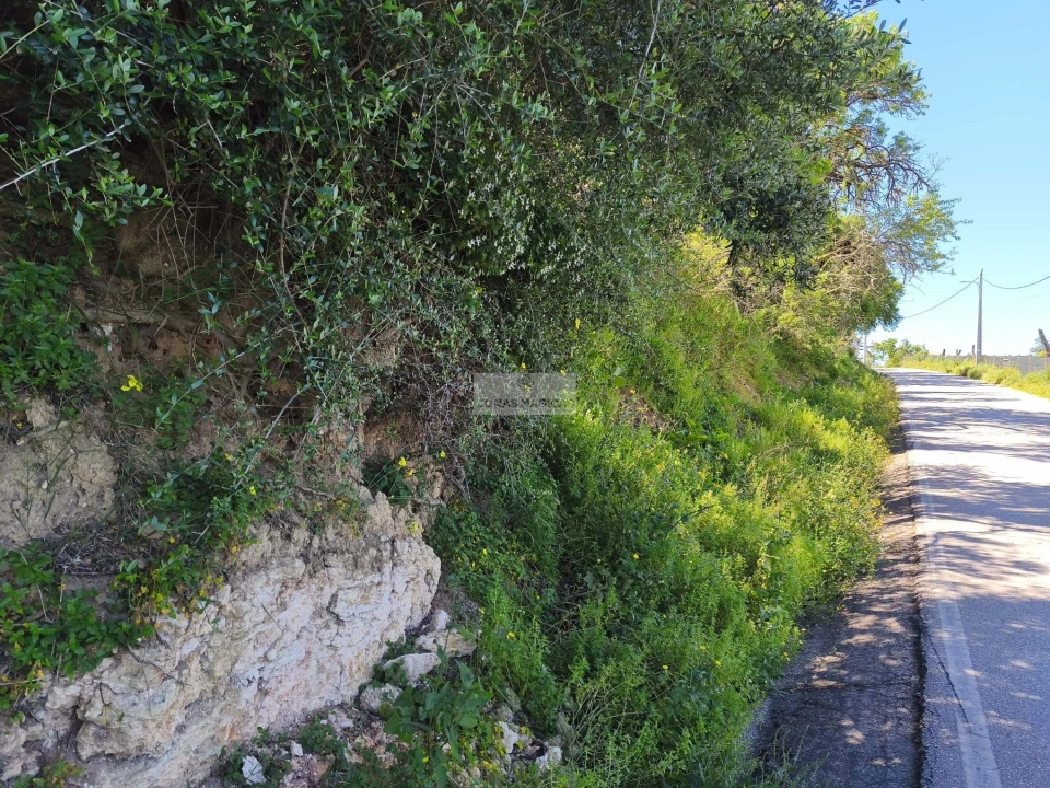 Terreno para Venda em Lagos (São Sebastião e Santa Maria) Foto 1