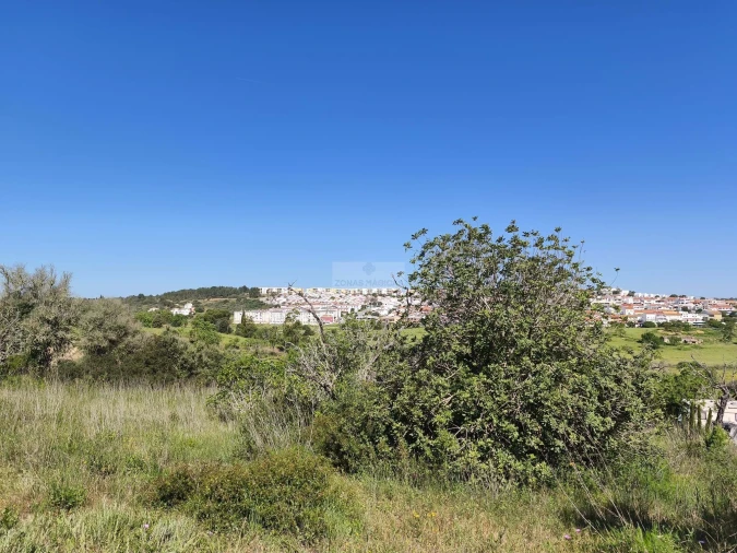 Terreno para Venda em Lagos (São Sebastião e Santa Maria) Foto 16