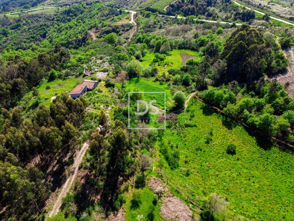 Quinta T3 para Venda em Grilo Foto 9