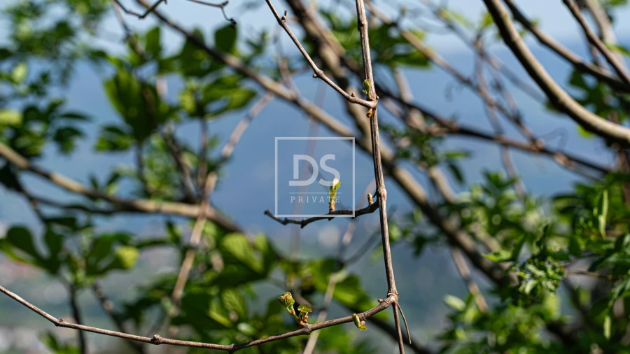 Quinta T3 para Venda em Grilo Foto 4