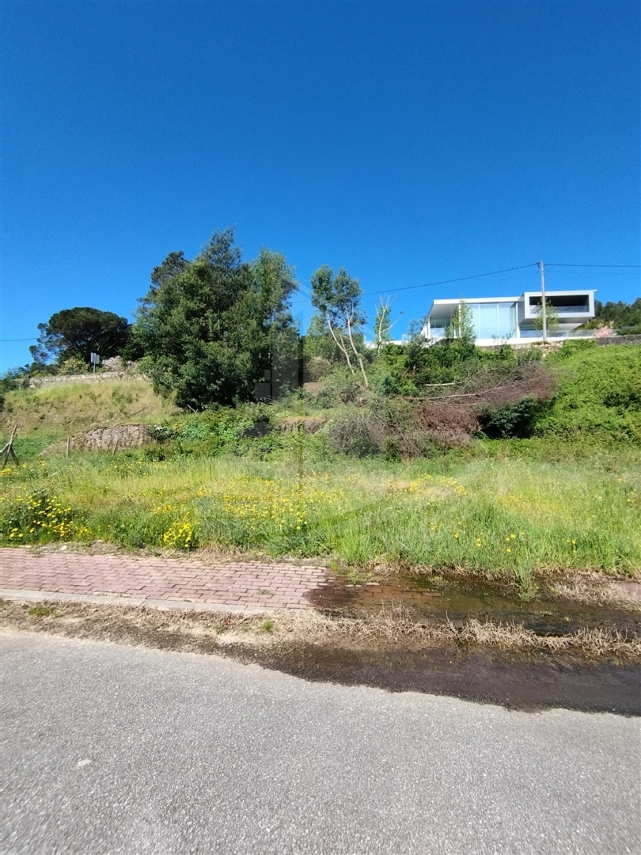 Terreno para Venda em Este (São Pedro e São Mamede) Foto 2