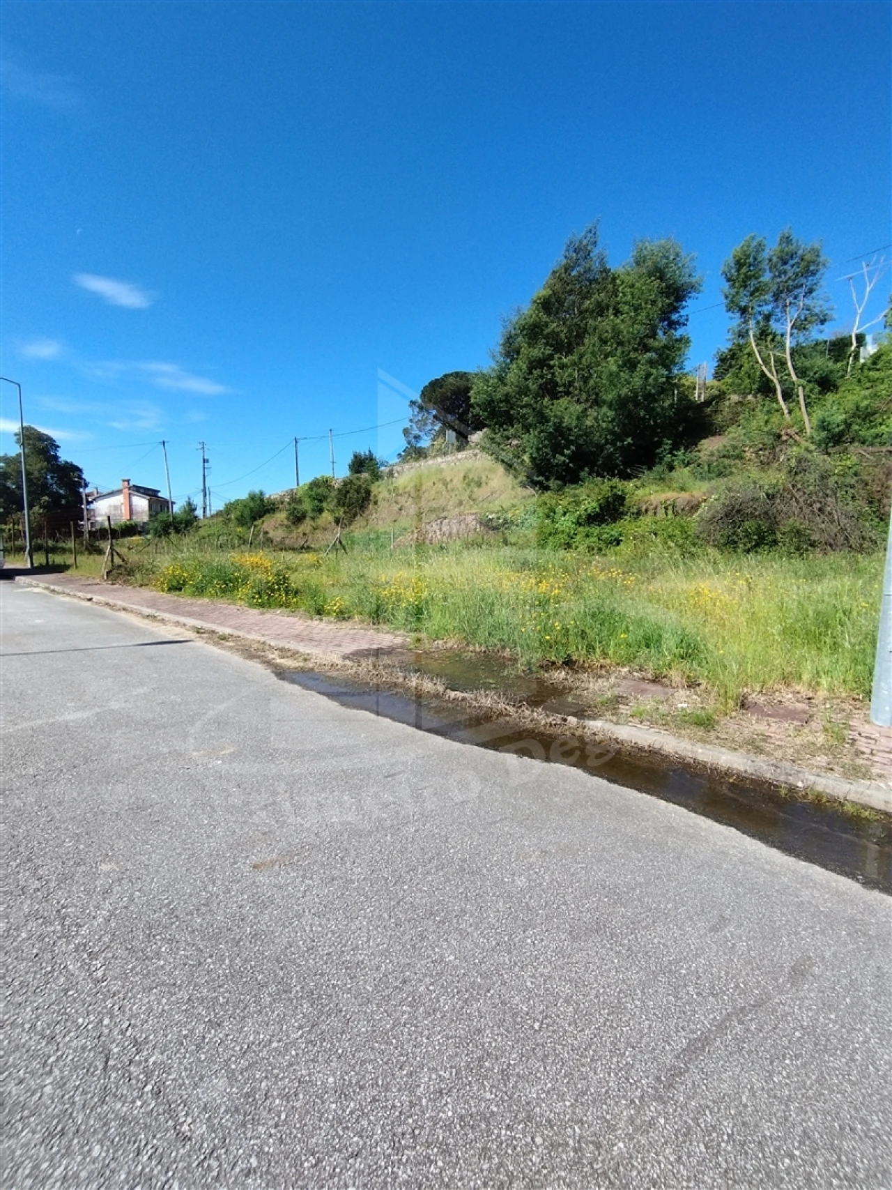 Terreno para Venda em Este (São Pedro e São Mamede) Foto 1