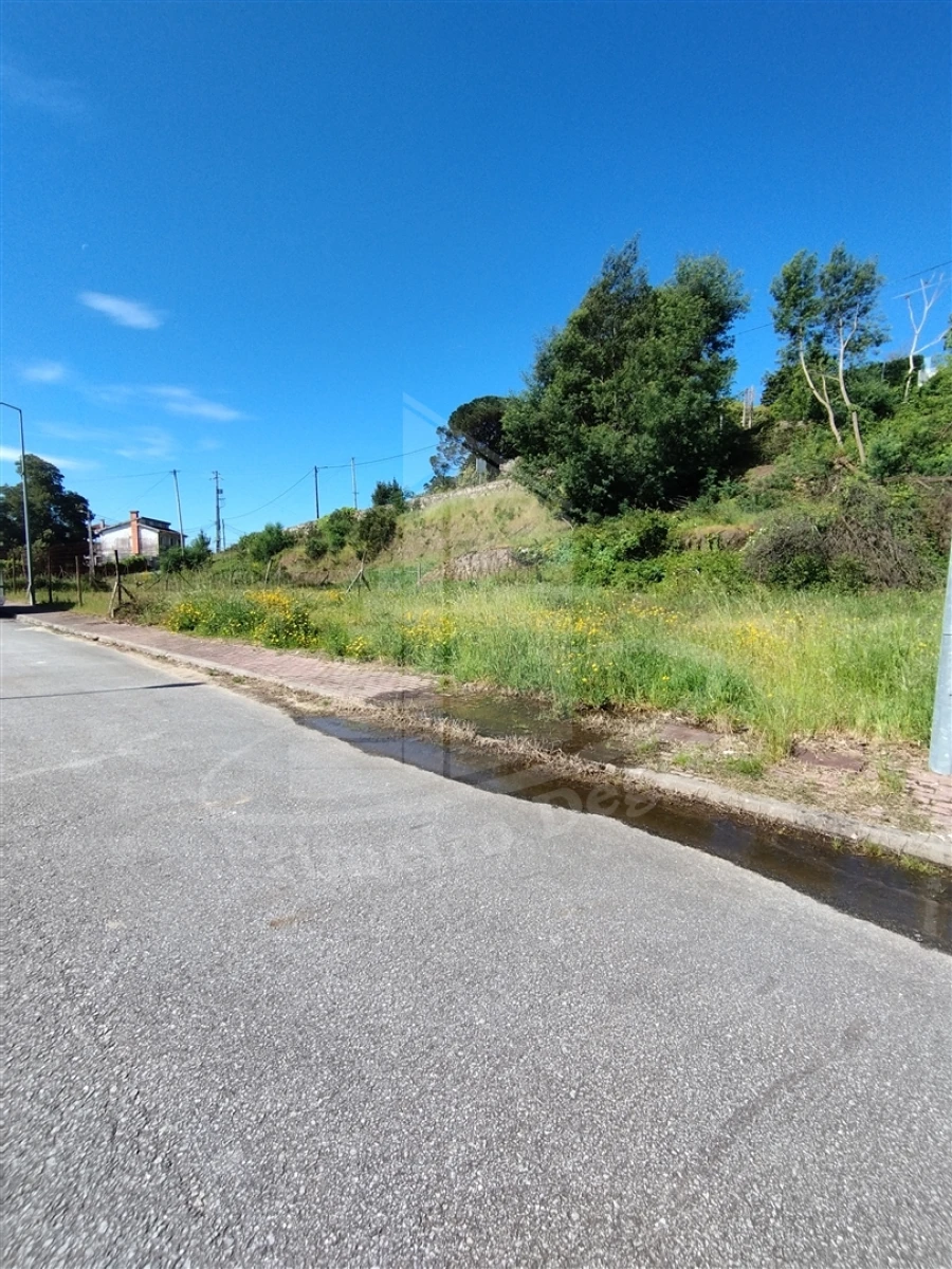 Terreno para Venda em Este (São Pedro e São Mamede) Foto 1