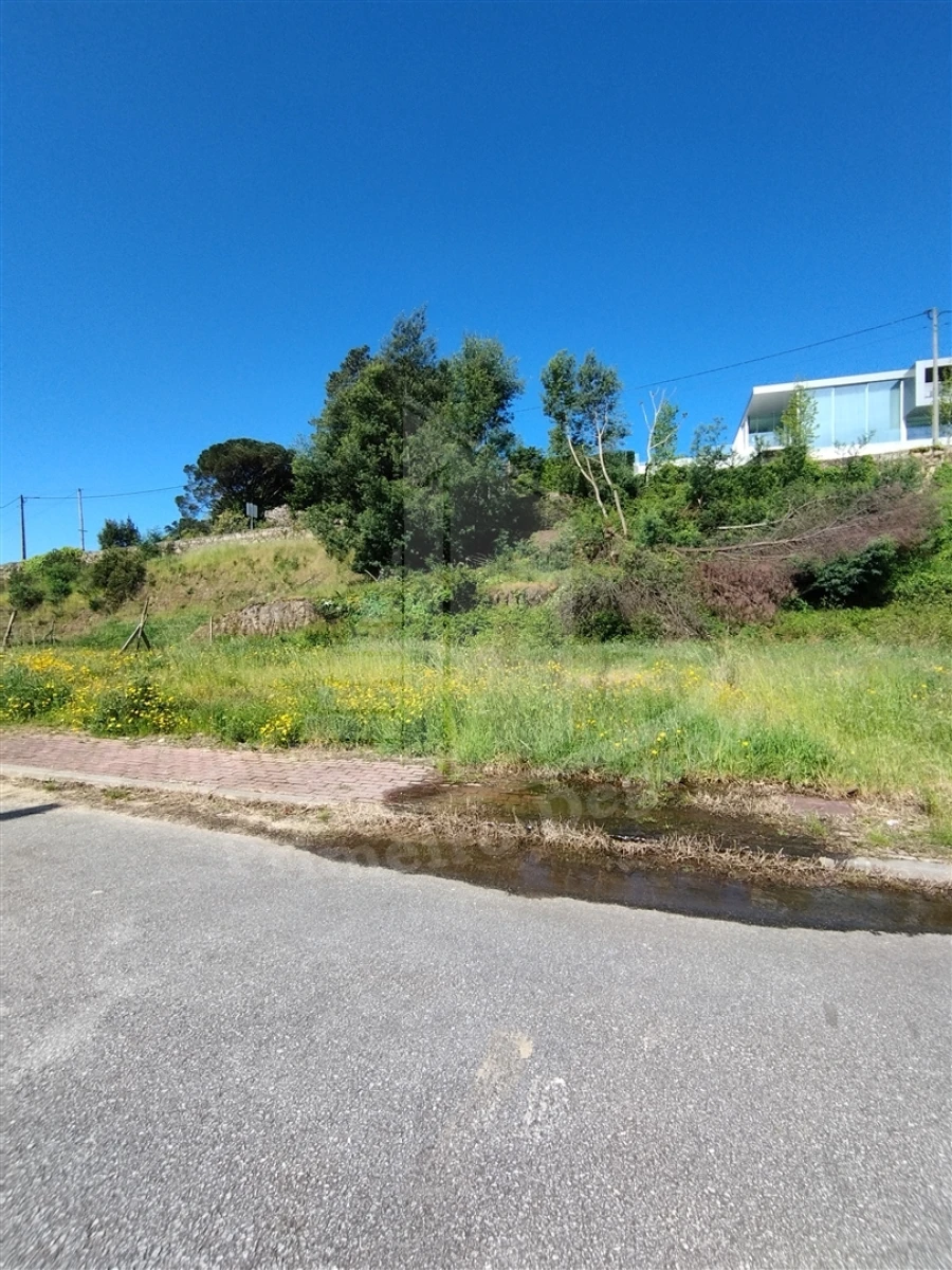 Terreno para Venda em Este (São Pedro e São Mamede) Foto 4