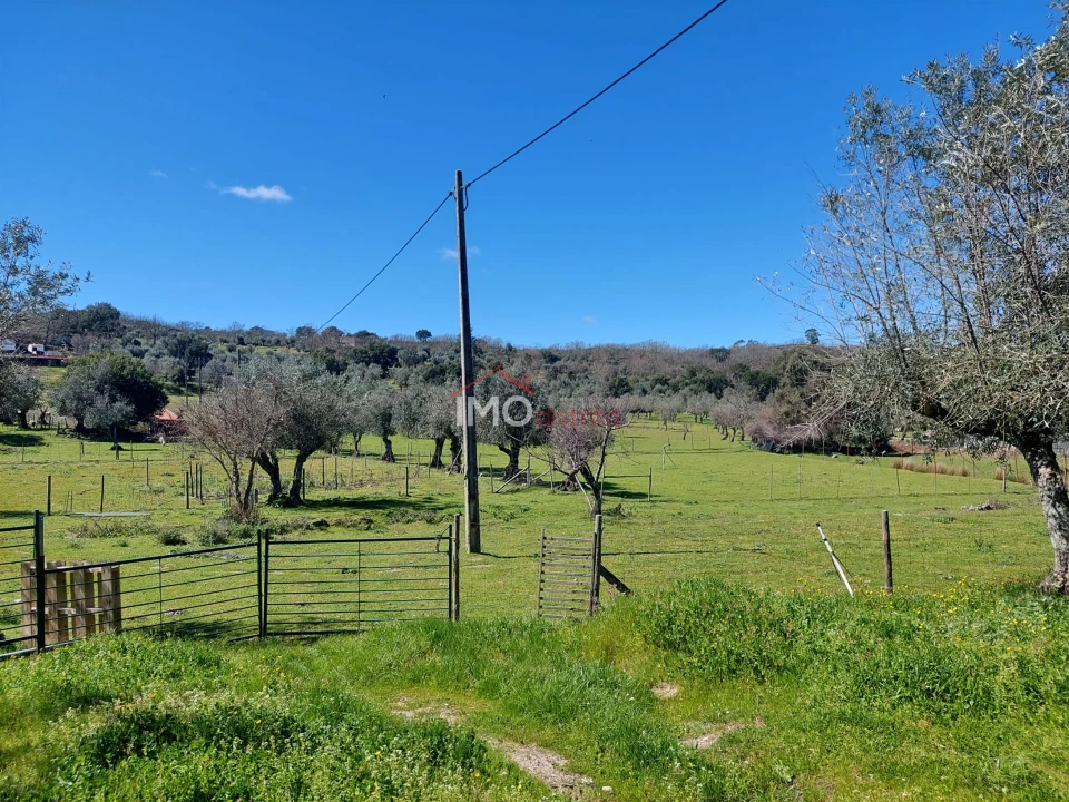 Quinta T3 para Venda em Santa Maria da Devesa Foto 12