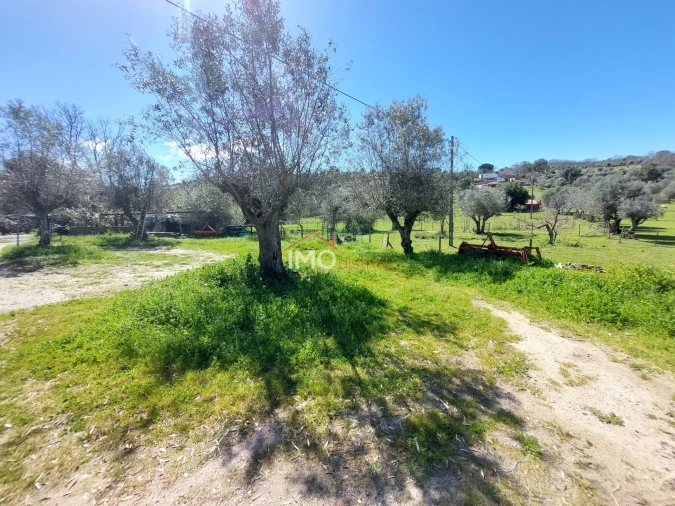 Quinta T3 para Venda em Santa Maria da Devesa Foto 15
