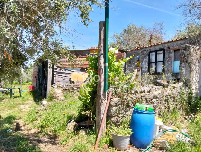 Quinta T3 para Venda em Santa Maria da Devesa Foto 3