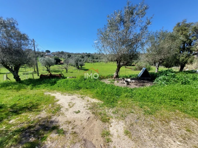 Quinta T3 para Venda em Santa Maria da Devesa Foto 14