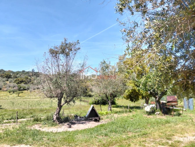 Quinta T3 para Venda em Santa Maria da Devesa Foto 19