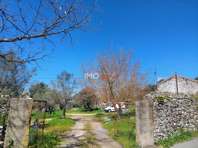 Quinta T3 para Venda em Santa Maria da Devesa Foto 2