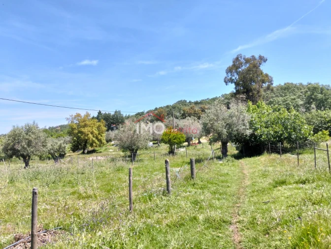 Quinta T3 para Venda em Santa Maria da Devesa Foto 18