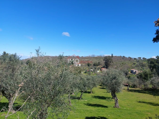 Quinta T3 para Venda em Santa Maria da Devesa Foto 11