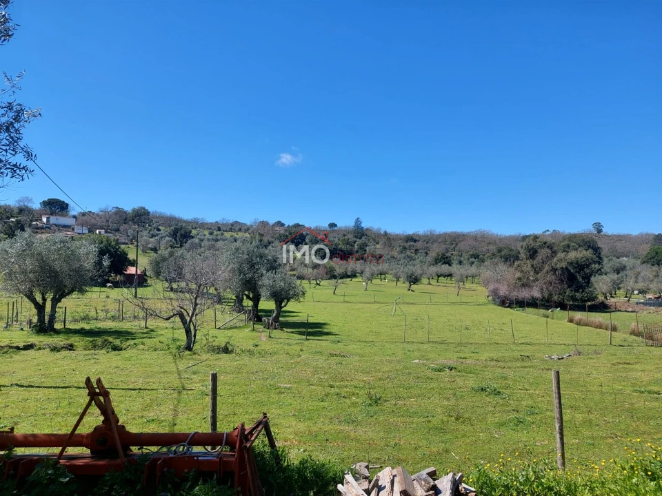 Quinta T3 para Venda em Santa Maria da Devesa Foto 13