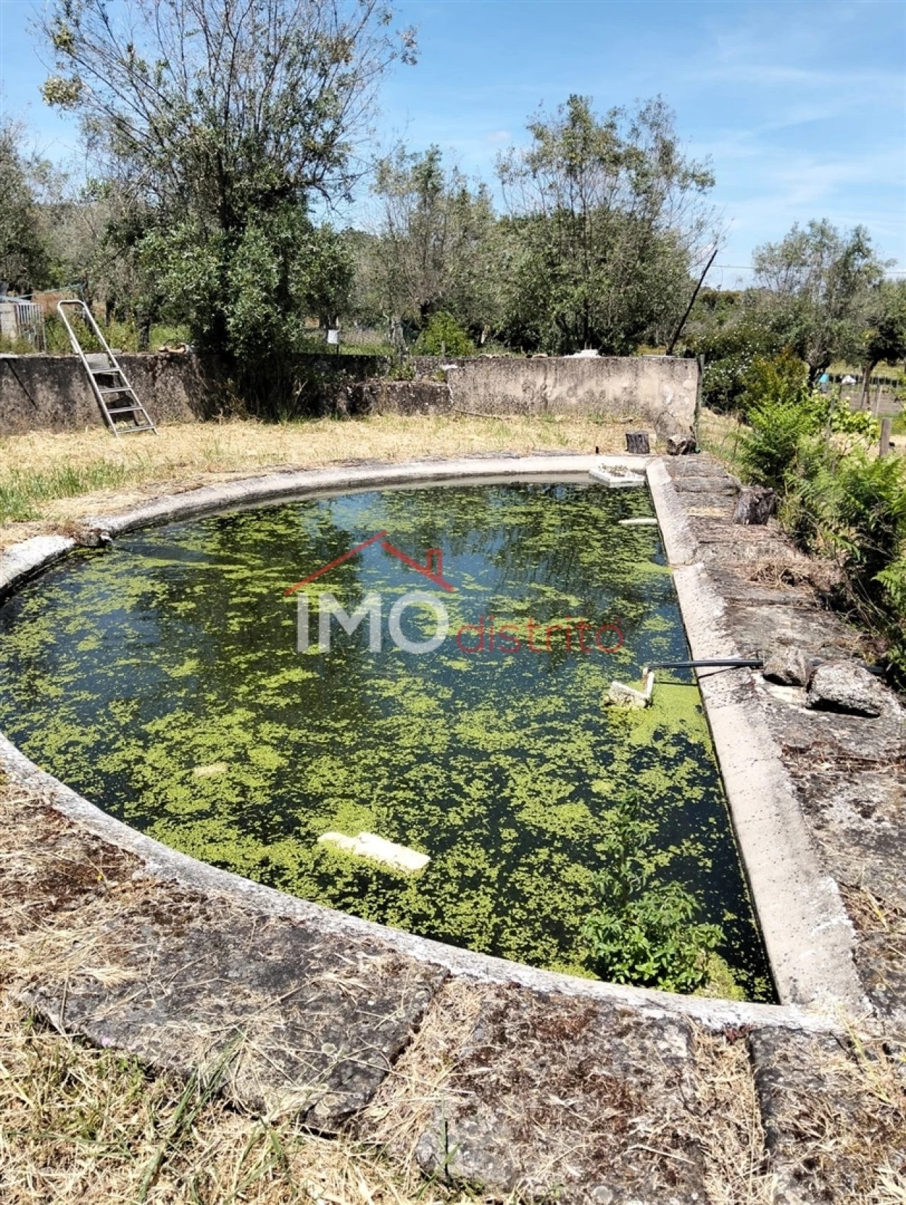 Quinta T3 para Venda em Santa Maria da Devesa Foto 8
