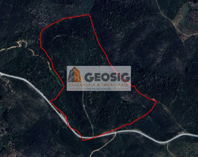 Terreno Agricola ou Rústico para Venda em São Barnabe Foto 9