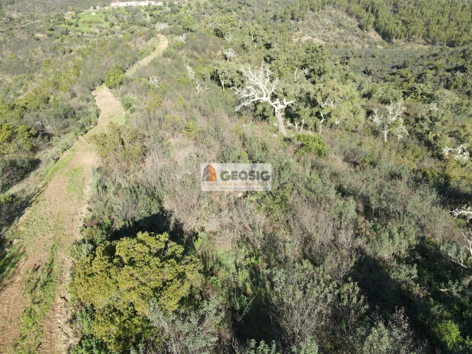 Terreno Agricola ou Rústico para Venda em São Barnabe Foto 2