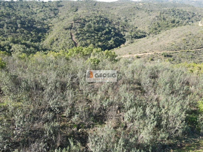 Terreno Agricola ou Rústico para Venda em São Barnabe Foto 7