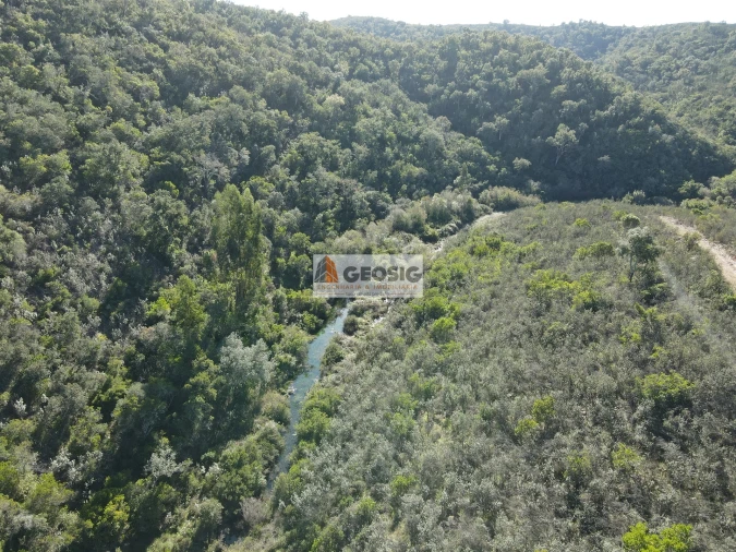 Terreno Agricola ou Rústico para Venda em São Barnabe Foto 5