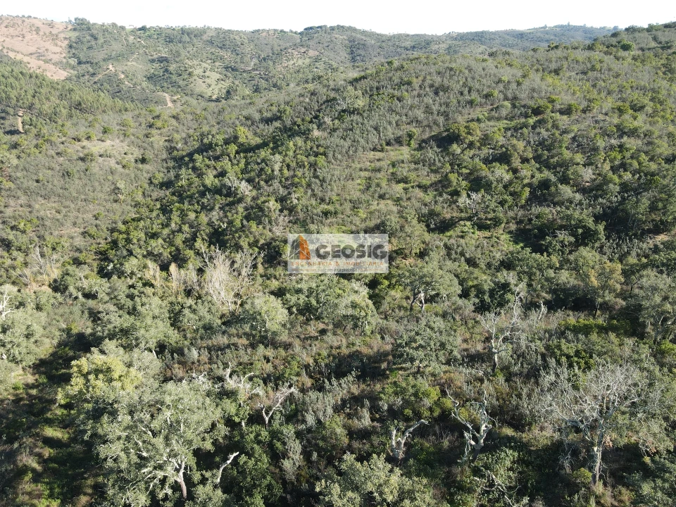 Terreno Agricola ou Rústico para Venda em São Barnabe Foto 8