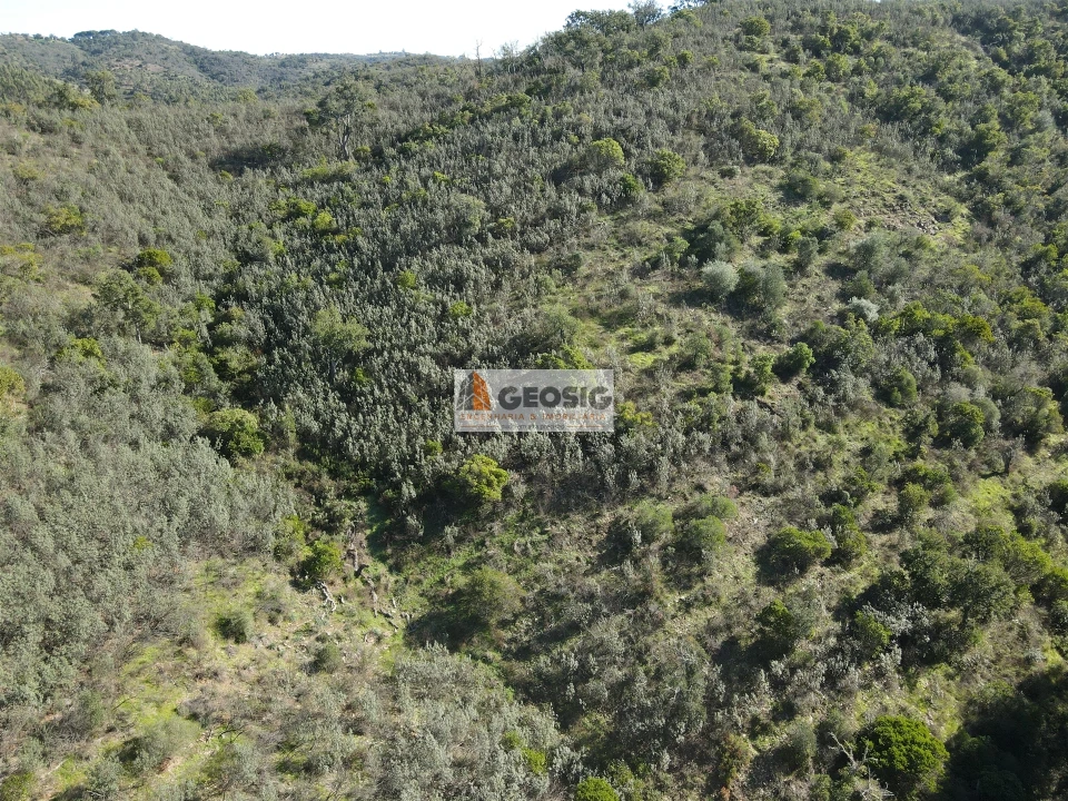 Terreno Agricola ou Rústico para Venda em São Barnabe Foto 4