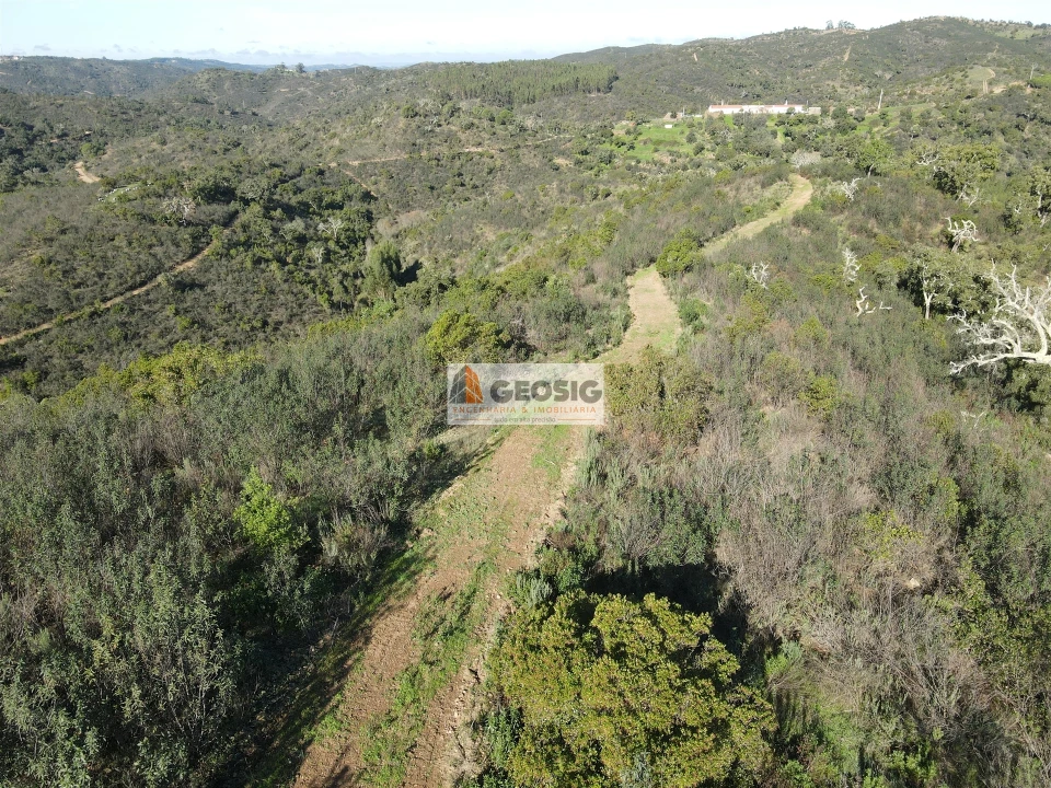 Terreno Agricola ou Rústico para Venda em São Barnabe Foto 1