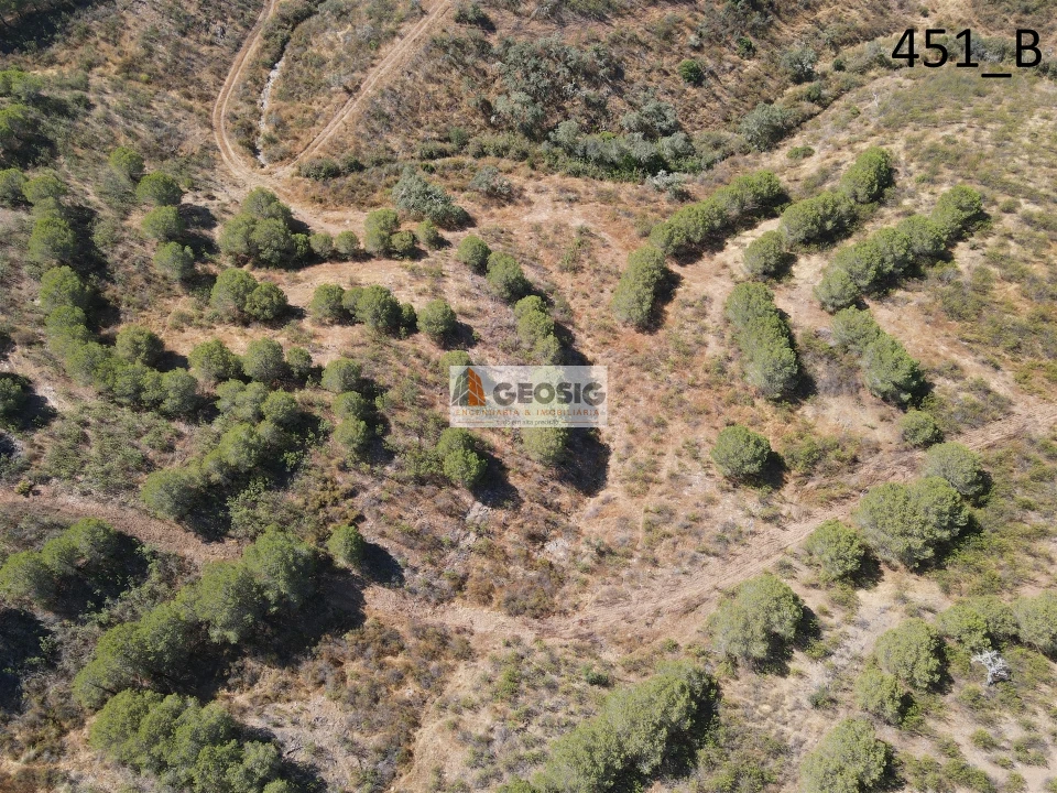 Terreno Agricola ou Rústico para Venda em Vaqueiros Foto 5