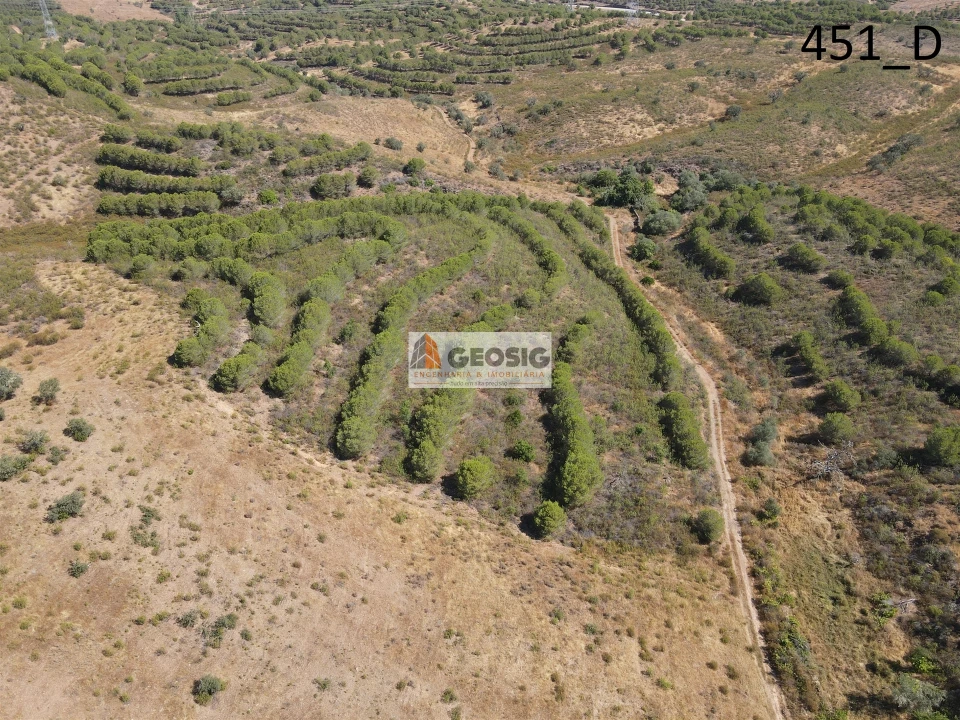 Terreno Agricola ou Rústico para Venda em Vaqueiros Foto 14