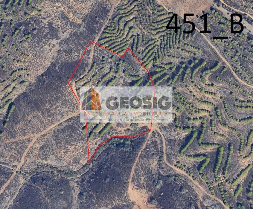 Terreno Agricola ou Rústico para Venda em Vaqueiros Foto 1