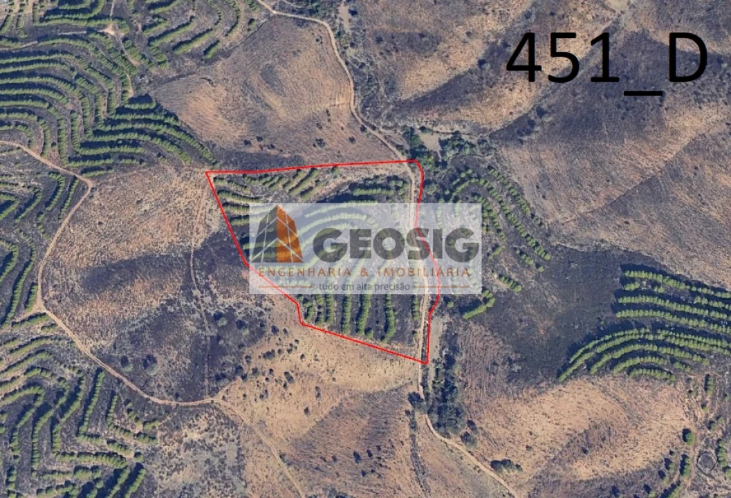 Terreno Agricola ou Rústico para Venda em Vaqueiros Foto 13