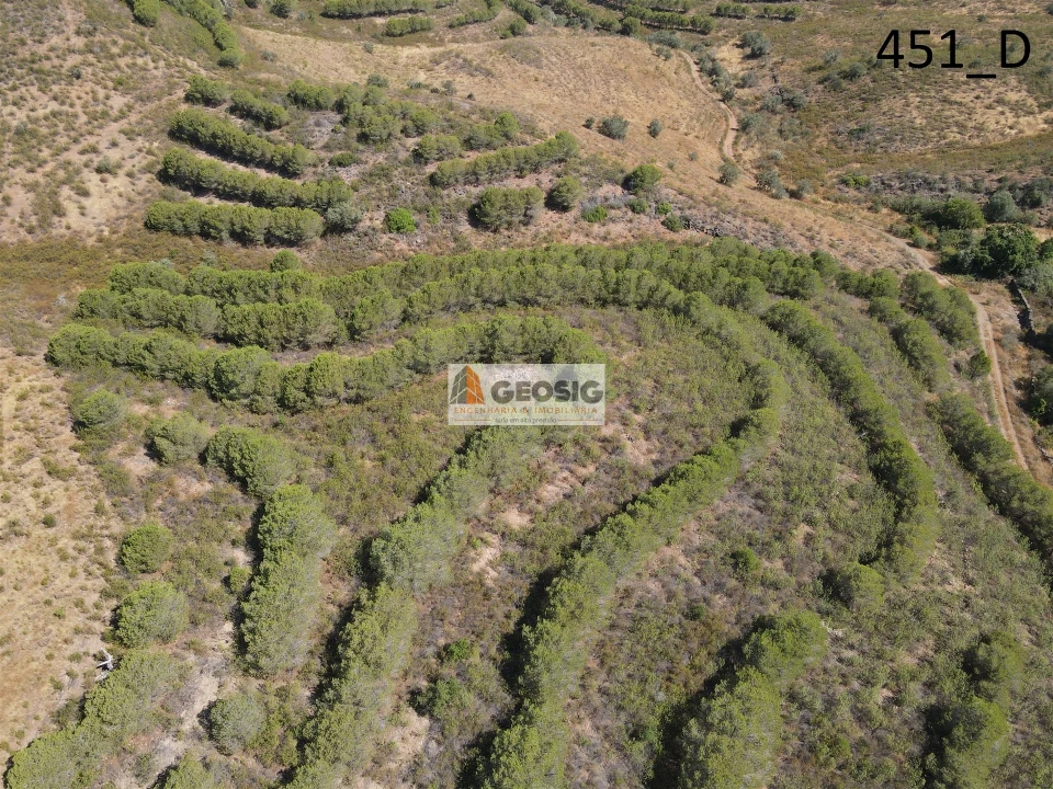 Terreno Agricola ou Rústico para Venda em Vaqueiros Foto 17
