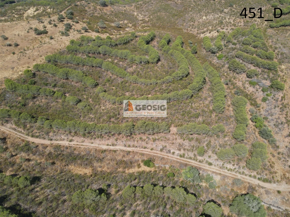 Terreno Agricola ou Rústico para Venda em Vaqueiros Foto 16