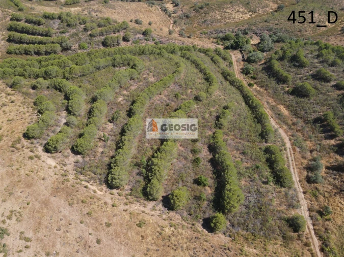 Terreno Agricola ou Rústico para Venda em Vaqueiros Foto 15