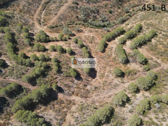 Terreno Agricola ou Rústico para Venda em Vaqueiros Foto 5