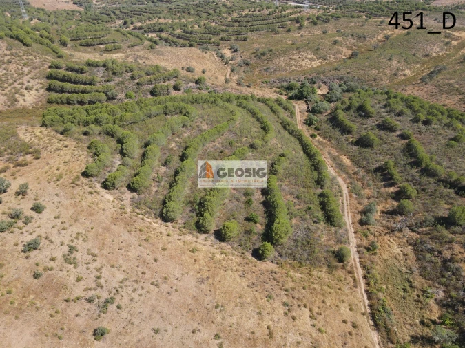 Terreno Agricola ou Rústico para Venda em Vaqueiros Foto 14