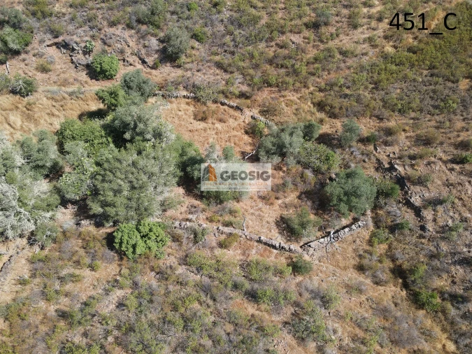 Terreno Agricola ou Rústico para Venda em Vaqueiros Foto 10