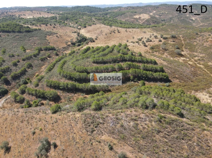 Terreno Agricola ou Rústico para Venda em Vaqueiros Foto 21